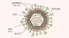 這個(gè)號稱“天下第一痛”的疾病又來了，提前做