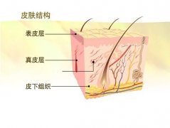 100塊和1000塊的面霜，涂在臉上效果真的會(huì)差10倍