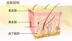 夏末秋初，免疫力低的人最易染上這6大皮膚病